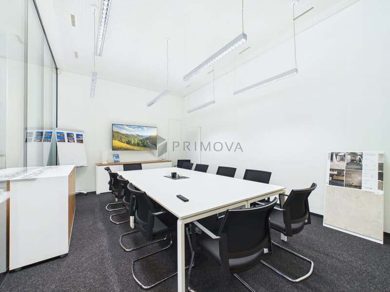 Repräsentatives Gewerbeareal mit Bauland & 5.5-Zimmer-Attikawohnung (9)