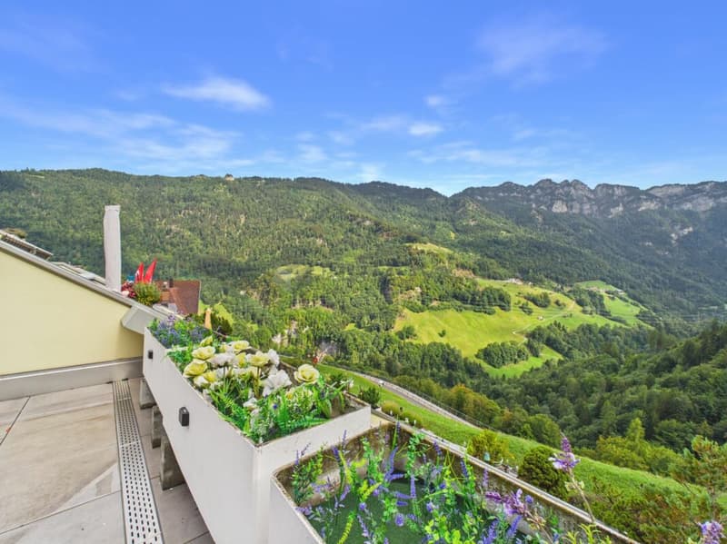 Bergkino inklusive - Wohnen mit Aussicht (8)