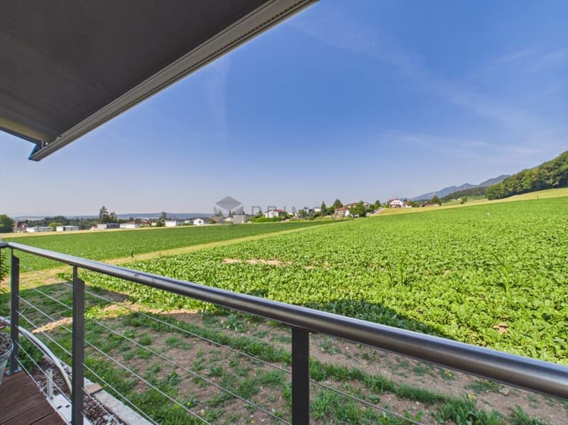 Exklusives 7.5 Zimmer-Einfamilienhaus mit 191 m² Wohnfläche und Alpenblick komplett saniert (10)