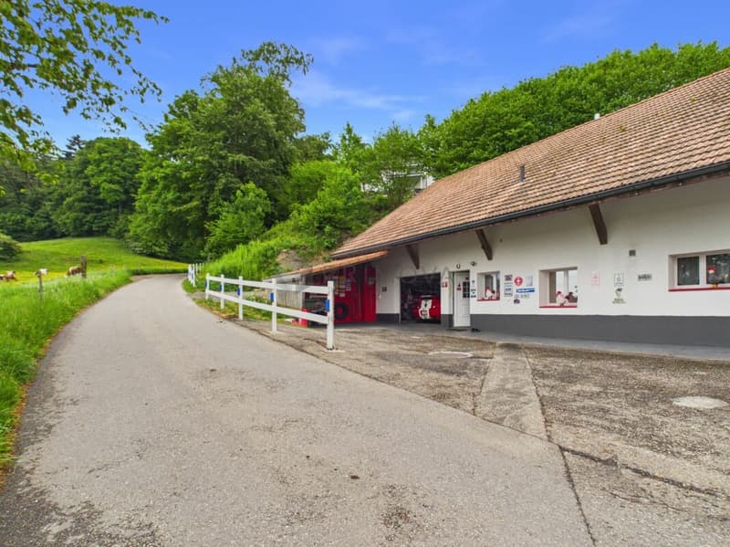 Platzwunder in Grasswil mit 4.5 Zimmern und zusätzlich 160 m² vorbereitetem Dachstock (1)