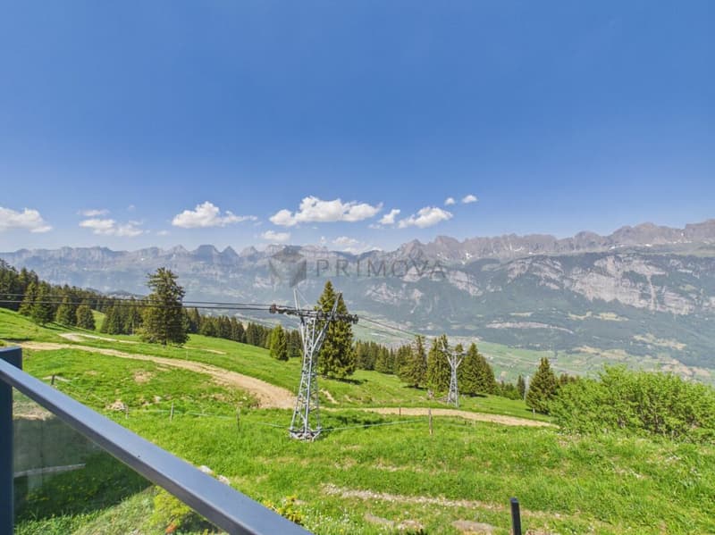 Berghotel Schönhalden mit eigener Seilbahn (20)