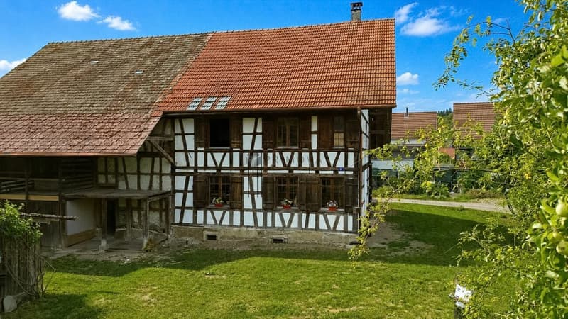 Historisches Fachwerkhaus auf 1'706 m² Grundstück mit Entwicklungspotenzial (3)