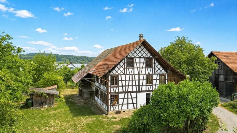 Historisches Fachwerkhaus auf 1'706 m² Grundstück mit Entwicklungspotenzial (1)