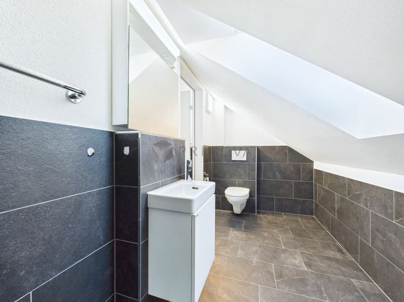 Wohnen mit Weitblick - helle 4.5 Zimmer Wohnung mit 1.01 % Hypothek (11)