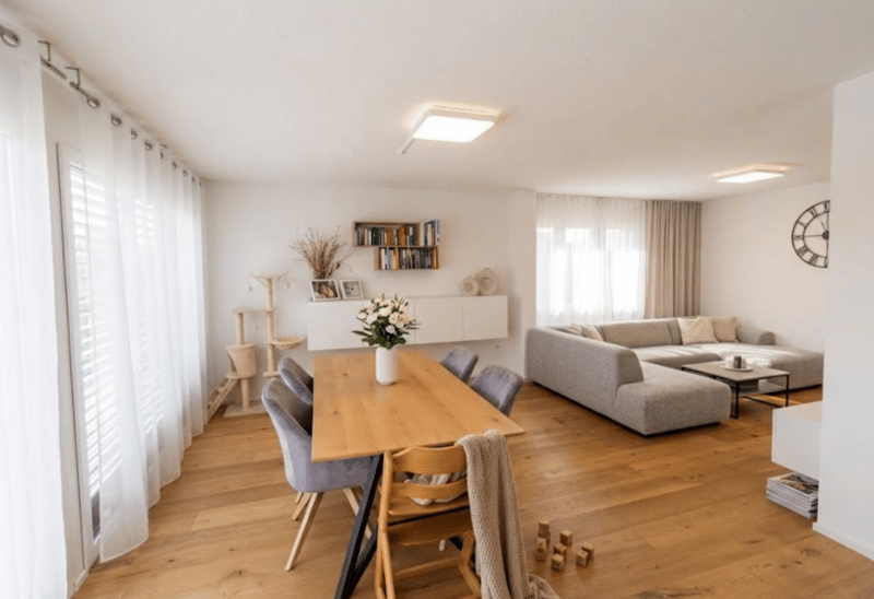 Lichtdurchflutetes Zuhause stilvoll und energieeffizient (2)