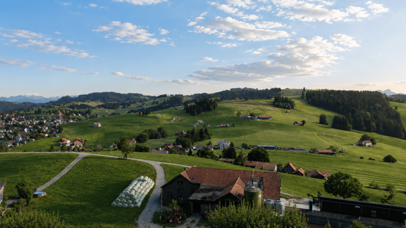 Sonnige Lage, traumhafte Aussicht und viel Potenzial in Speicher (1)