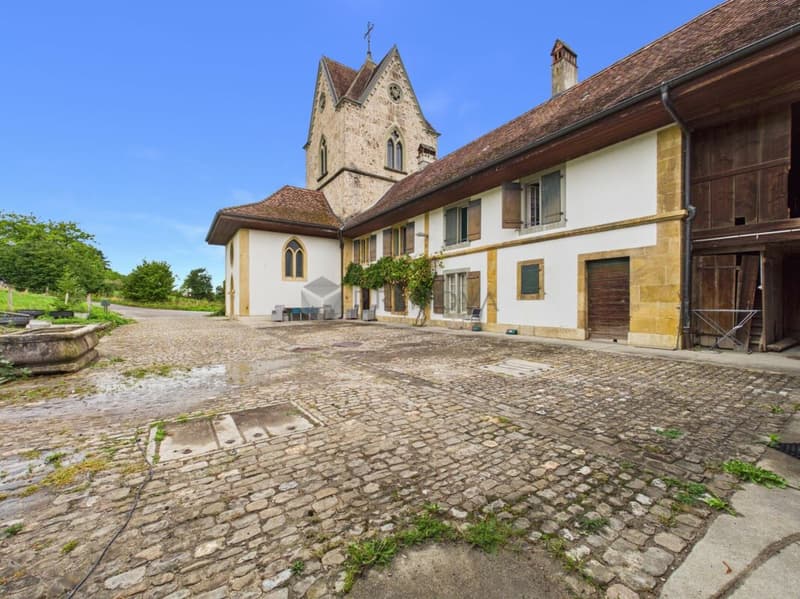 Eine Liebeserklärung mit Potenzial: Historisch wohnen und arbeiten am Murtensee. (5)