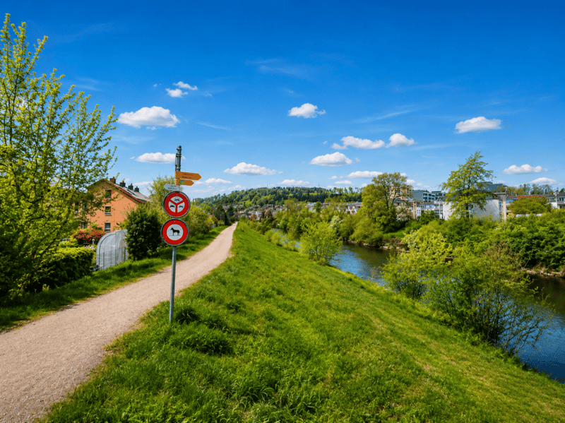 Wohnqualität auf höchstem Niveau - grosszügig, hell und naturnah (11)