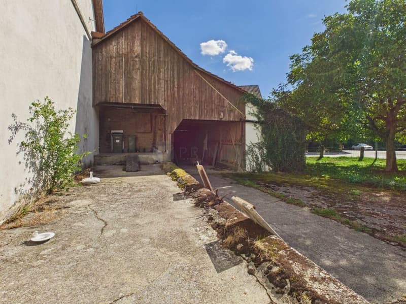Gepflegtes Bauernhaus mit grosser Baulandreserve im schönen Seeland (17)