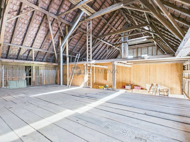 Gepflegtes Bauernhaus mit grosser Baulandreserve im schönen Seeland (12)