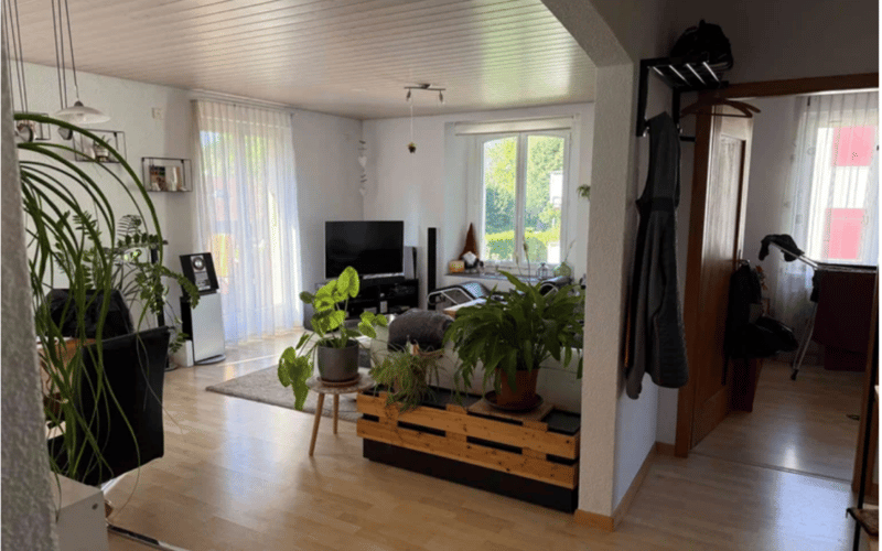 Drei-Familienhaus mit grosser Garage/Werkstatt (2)