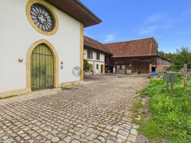 Eine Liebeserklärung mit Potenzial: Historisch wohnen und arbeiten am Murtensee. (2)