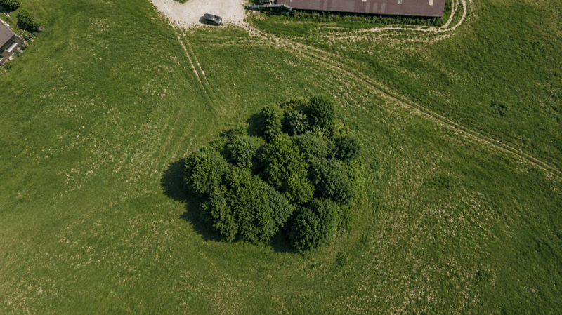 Sonnige Lage, traumhafte Aussicht und viel Potenzial in Speicher (4)
