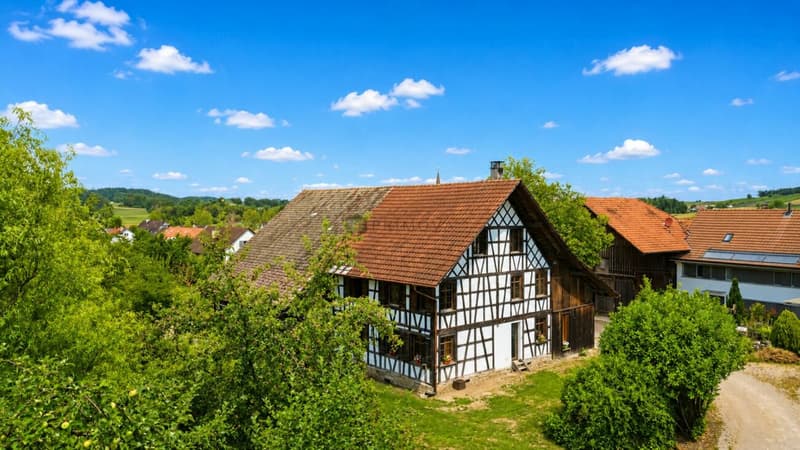 Historisches Fachwerkhaus auf 1'706m² Grundstück mit Entwicklungspotenzial (14)