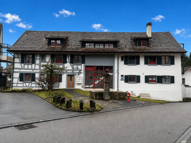 Attraktives Anlageobjekt - historisches, vollvermietetes Mehrfamilienhaus mit Potenzial (1)