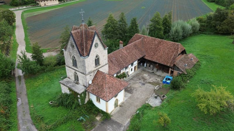 Eine Liebeserklärung mit Potenzial: Historisch wohnen und arbeiten am Murtensee. (1)