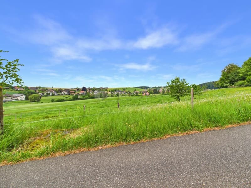 Platzwunder in Grasswil mit 4.5 Zimmern und zusätzlich 160 m² vorbereitetem Dachstock (11)