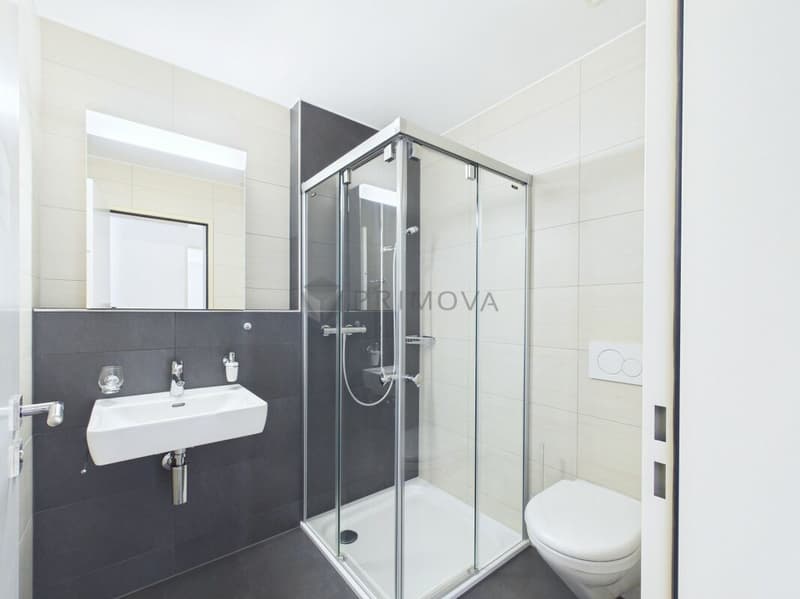 Hochwertig renovierte 4.5 Zimmer-Wohnung mit sonniger Südterrasse in Trimmis (8)