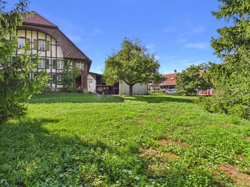 Gepflegtes Bauernhaus mit grosser Baulandreserve in der Kernzone im schönen Seeland (3)