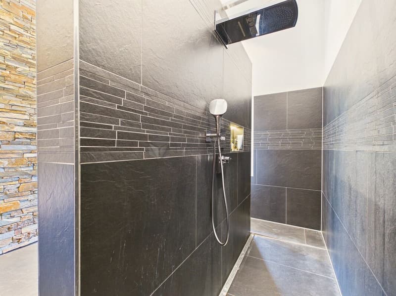 Wohnen mit Charakter: Eleganter 4.5 Zimmer-Traum mit 6 m Raumhöhe, Spa-Ensuite Bad & verglaster Loggia (11)