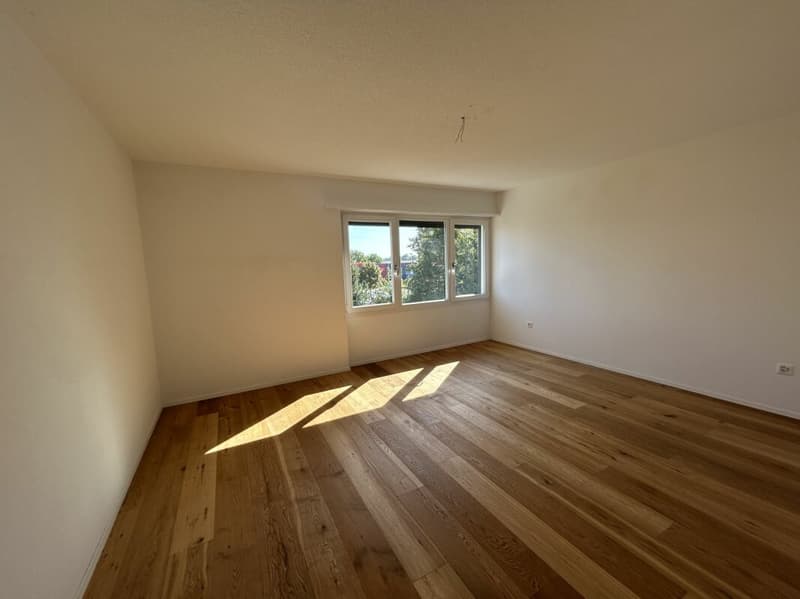 Lichtdurchflutetes Zuhause stilvoll und energieeffizient (4)
