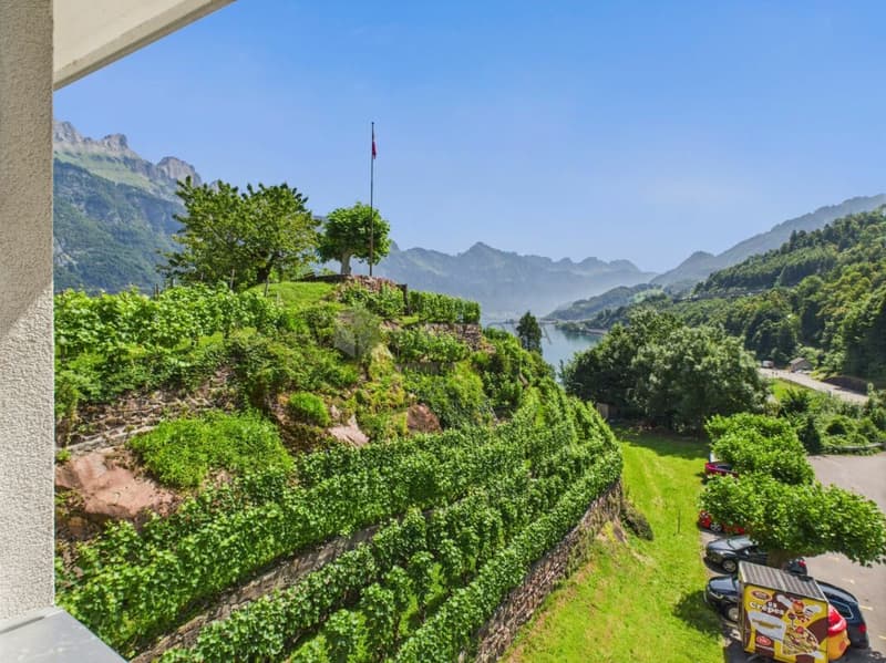 Hotel & Restaurant mit Einliegerwohnungen, Rebberg und Bauland in Premiumlage am Walensee (3)