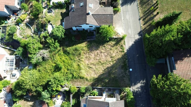 Sonniges Bauland in ruhiger und familienfreundlicher Wohnlage (3)