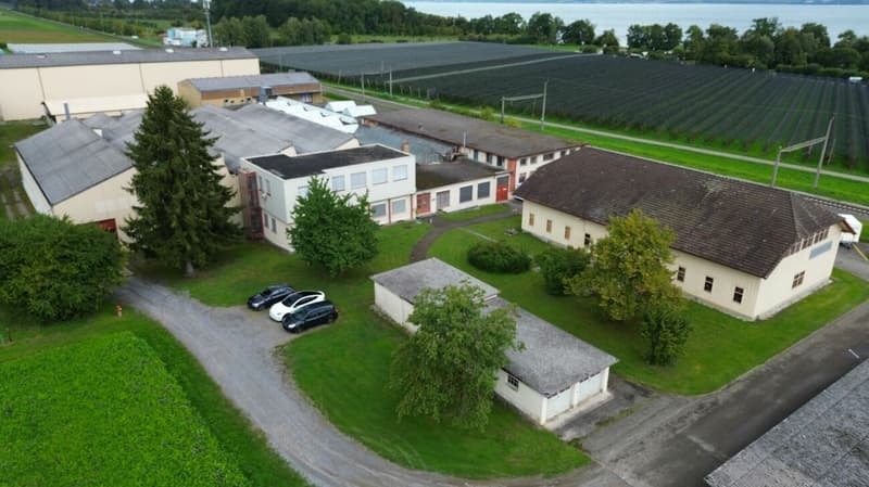 Grosszügiges Gewerbeareal mit Entwicklungspotenzial und Bodensee-Charme (4)