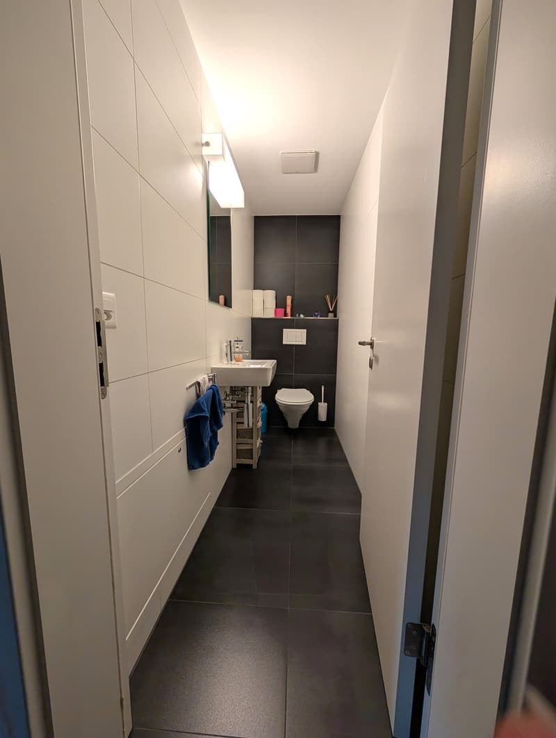 narrow hallway leading to a toilet and a small bathroom with a sink