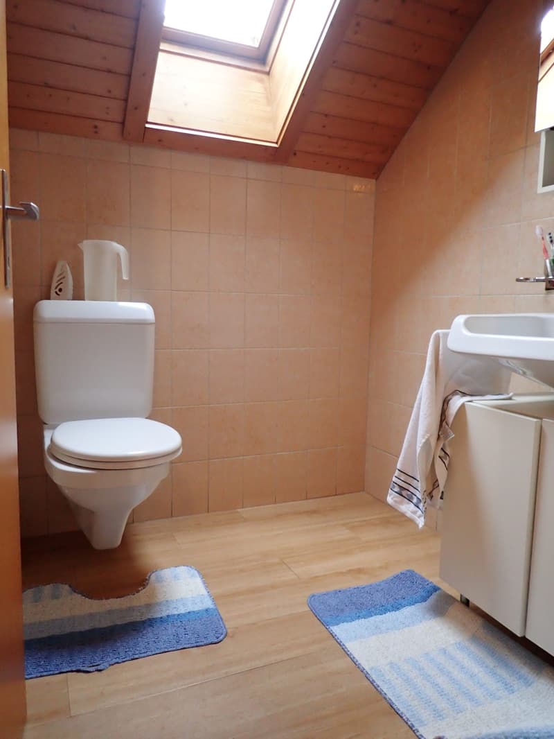 gemütliche 3.5-Zimmer-Dachwohnung mit Kamin (10)