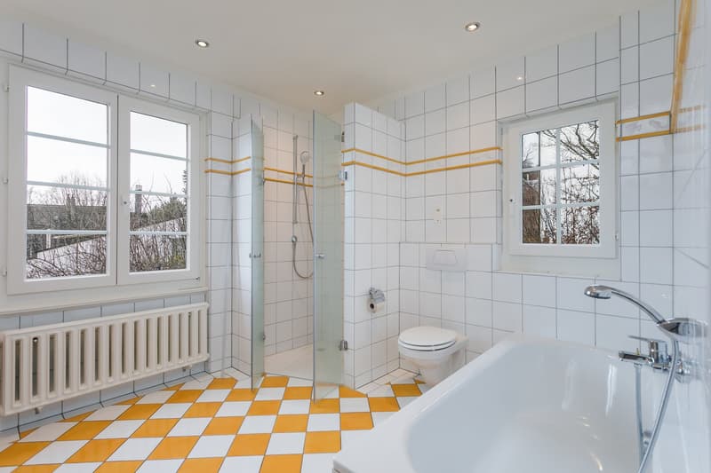 Stilvolles Einfamilienhaus am Zürichberg (4)