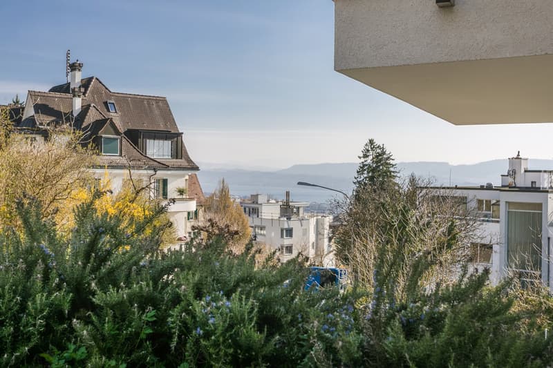 Naturnahes Wohnen am Zürichberg (1)