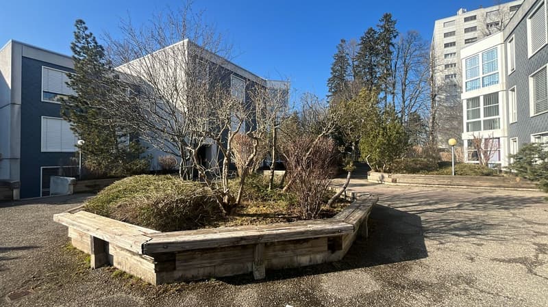 Spacieux et Charmant 3.5 pièce avec Grand Balcon et Parking ! (12)