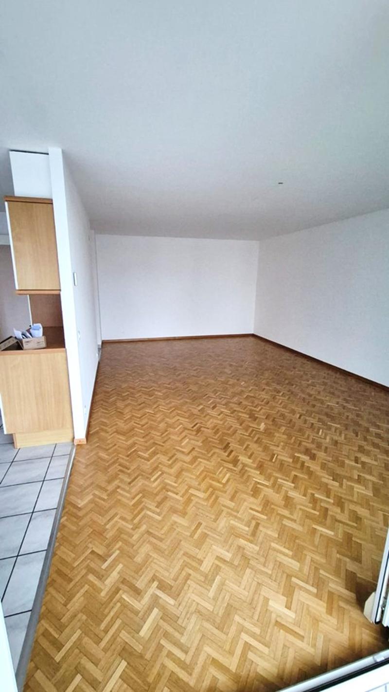 Spacieux et Charmant 3.5 pièce avec Grand Balcon et Parking ! (3)