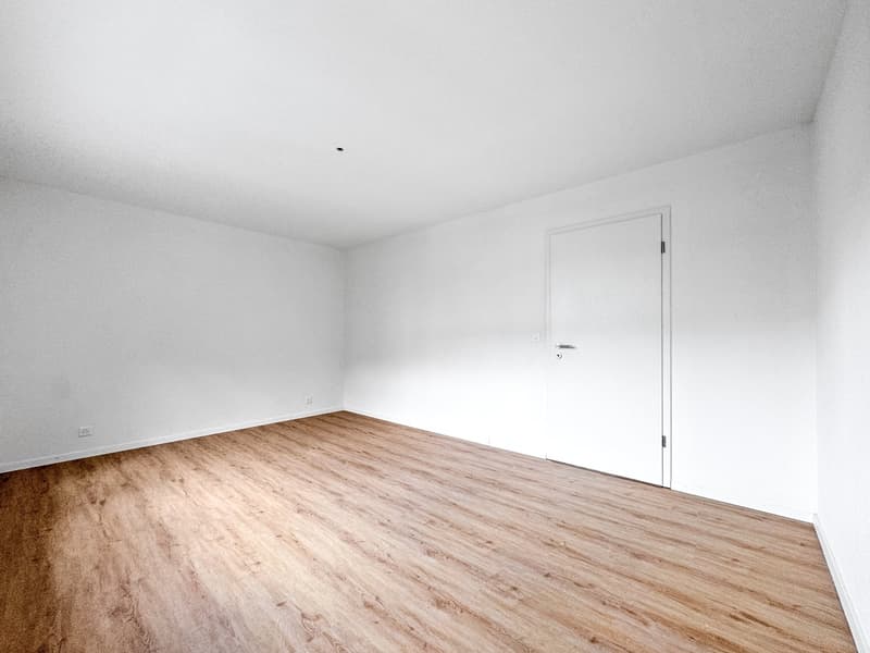 Empty room with wooden floor, white walls, white door, power outlet