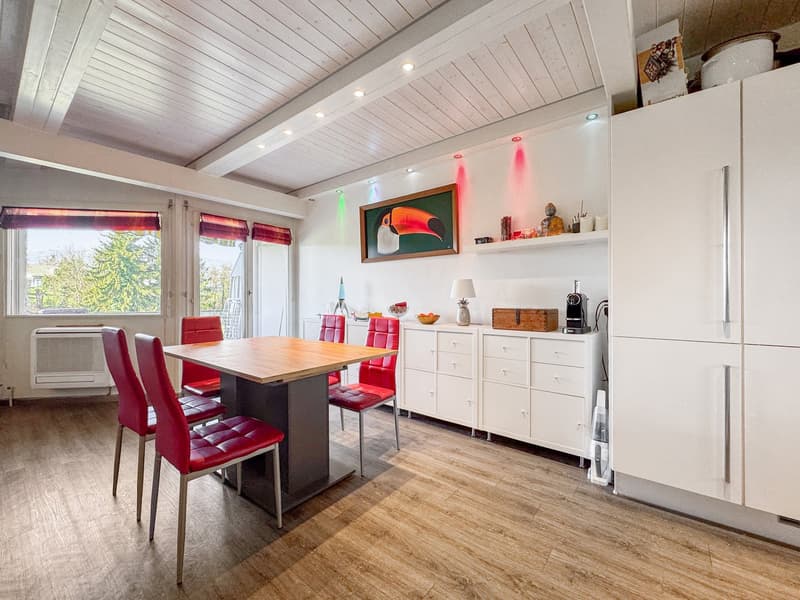 En Exclusivité. Superbe attique en duplex dans une résidence calme (6)