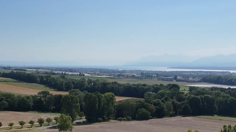 co-exclusivité: Attique en duplex de 275 m² à La Rippe (10' de Nyon) (11)