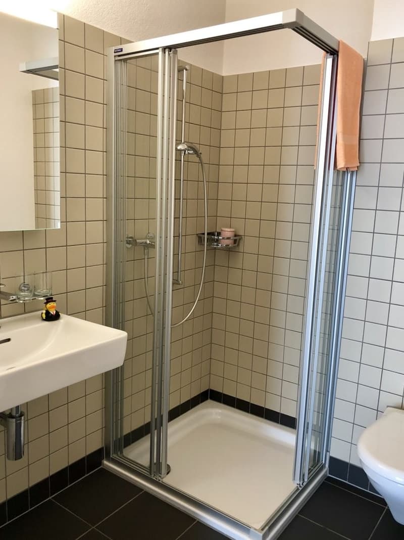 Nasszelle mit Dusche