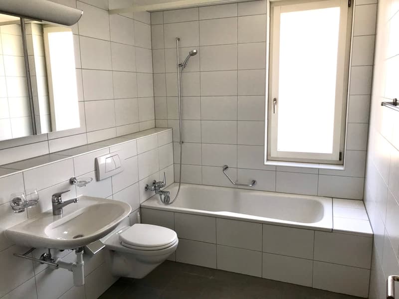 Appartamento moderno 3 locali in mansarda in una zona tranquilla di Therwil (6)