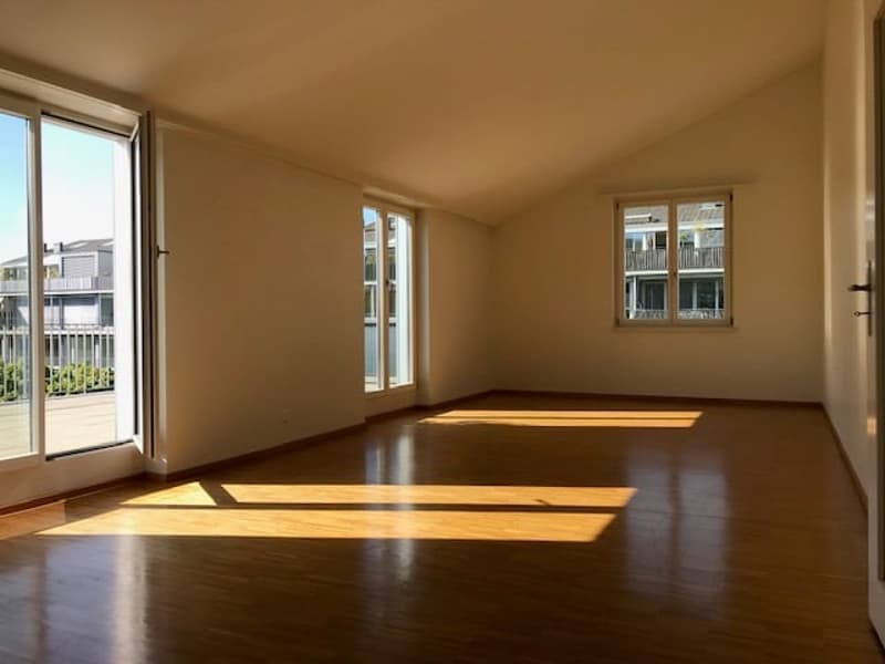 Appartamento moderno 3 locali in mansarda in una zona tranquilla di Therwil (4)