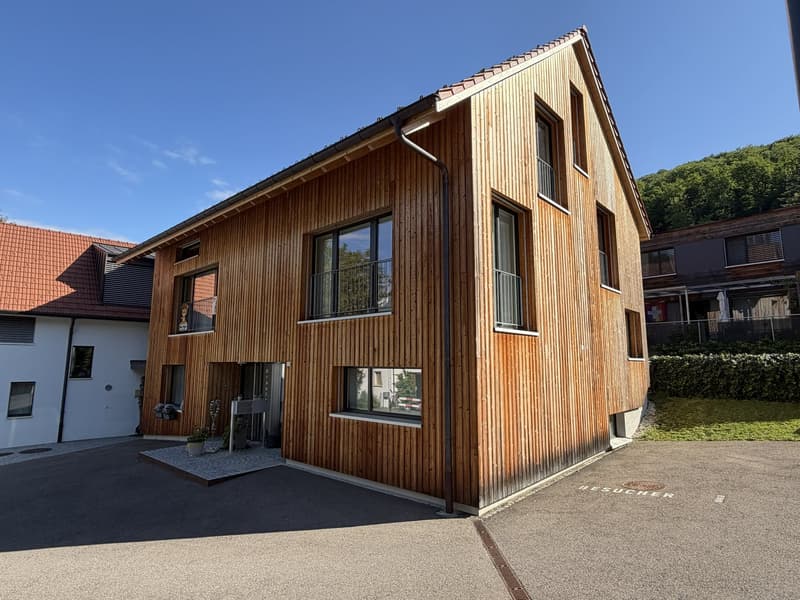 Modern 6.5-room semi-detached house in Flüh (14)