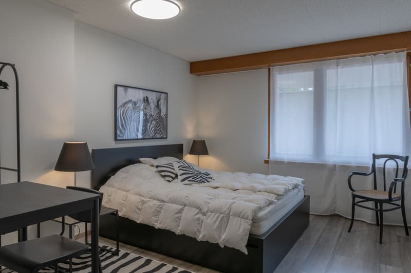 Bright 3.5-room apartment at Winkelriedplatz in Basel (6)