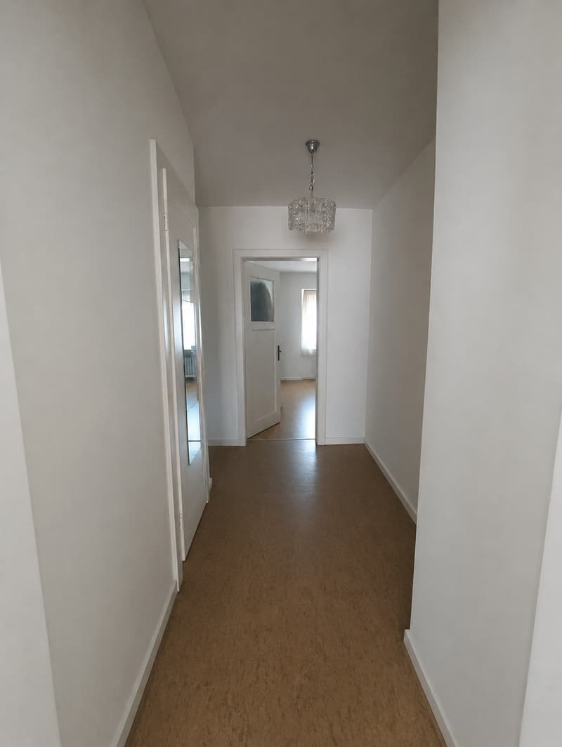 Charmant appartement 2 pièces avec deux balcons à Bâle (2)