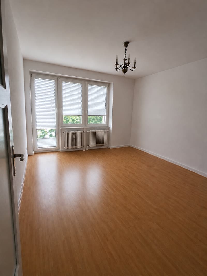 Charmant appartement 2 pièces avec deux balcons à Bâle (5)