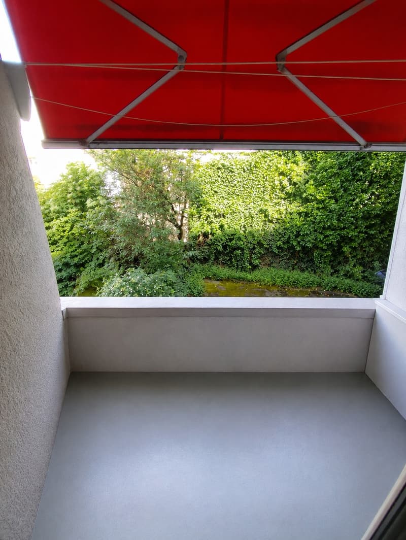 Charmant appartement 2 pièces avec deux balcons à Bâle (4)