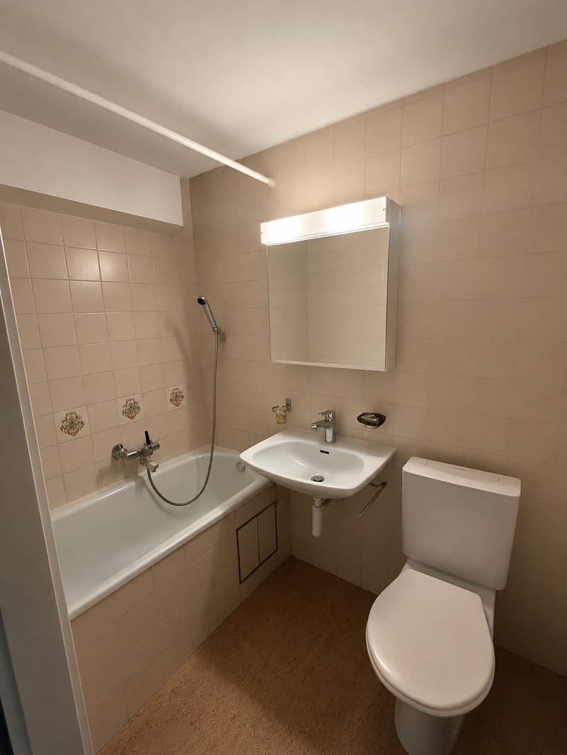 Incantevole appartamento di 2 camere con due balconi a Basilea (6)