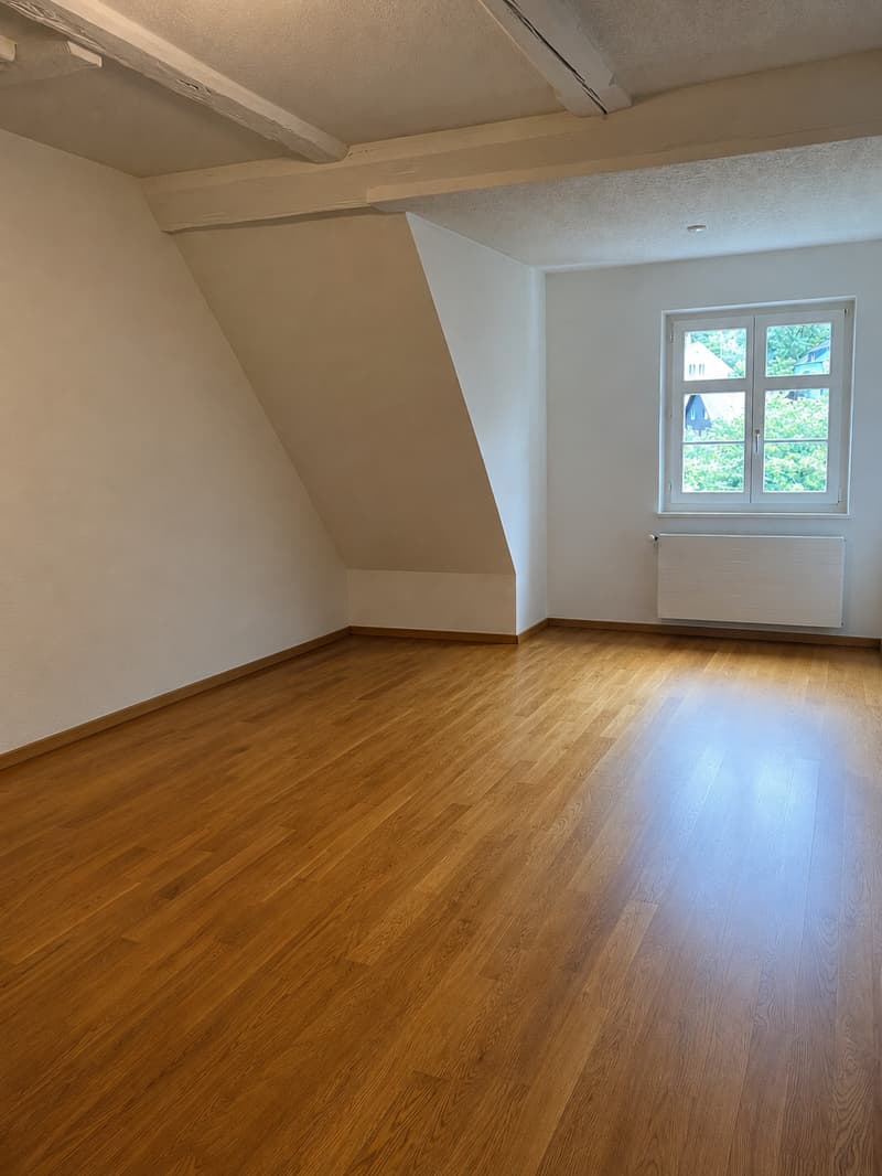 Appartamento di 3 camere accogliente a Flüh (5)