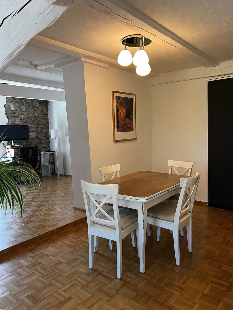 Appartamento di 3 camere accogliente a Flüh (1)