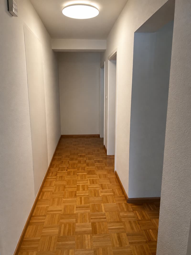 Appartamento di 3 camere accogliente a Flüh (3)