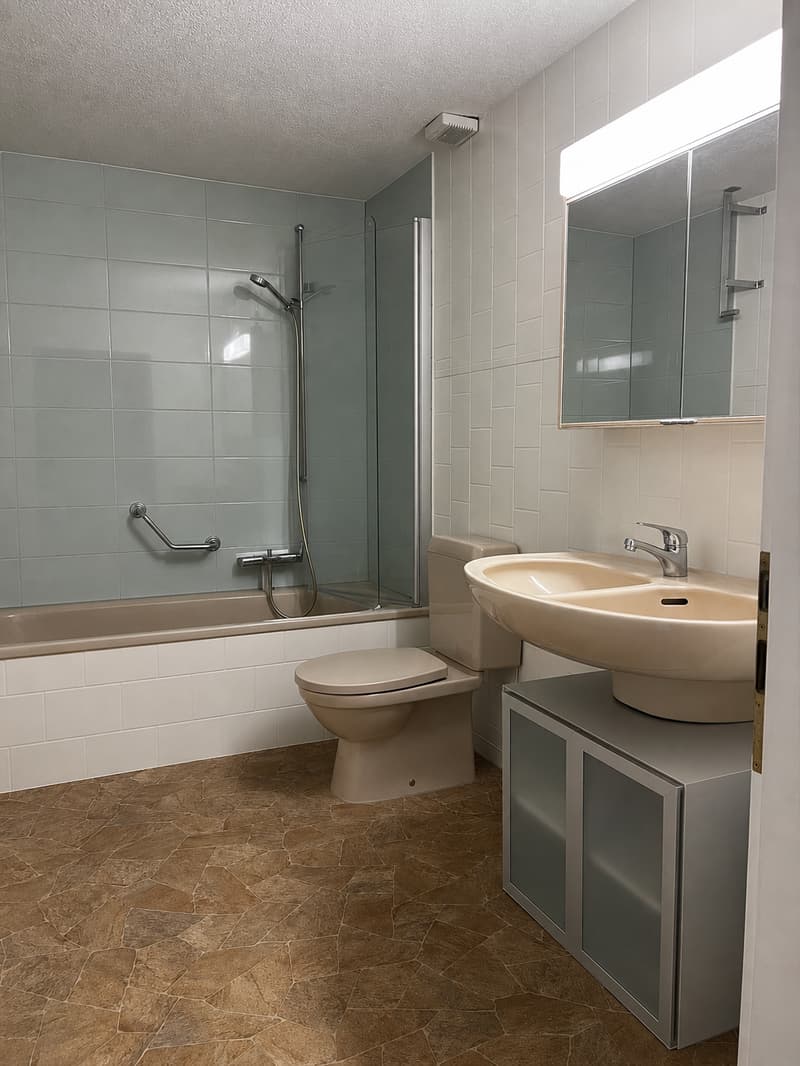 Appartamento di 3 camere accogliente a Flüh (6)
